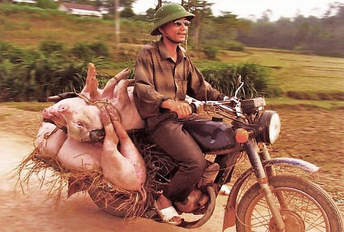 Dinsdag 10 januari boeiende fotoavond over Vietnam - Foto: Eigen geleverde foto