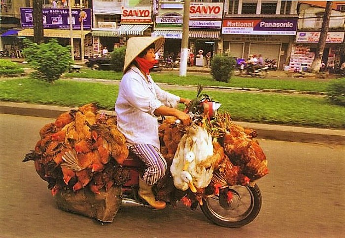 Dinsdag 10 januari boeiende fotoavond over Vietnam - Foto: Eigen geleverde foto