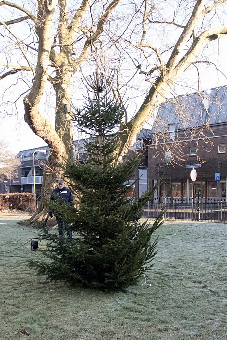 2016: Ook dit jaar weer kerstboom voor Hospice - Foto: Geert Bistervels