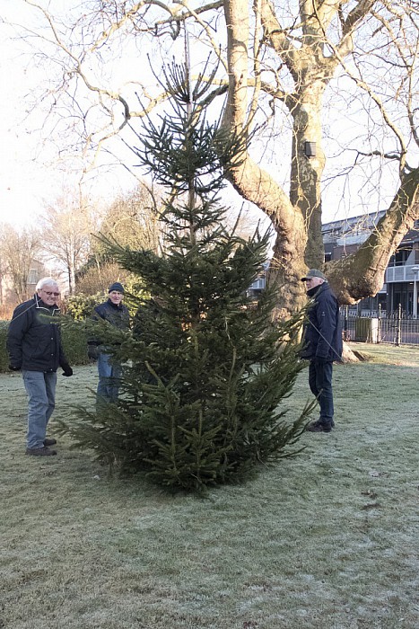 2016: Ook dit jaar weer kerstboom voor Hospice - Foto: Geert Bistervels