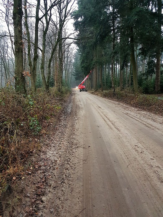 Gemeente is druk aan het snoeien - Foto: Eigen geleverde foto