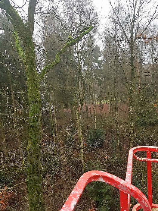 Gemeente is druk aan het snoeien - Foto: Eigen geleverde foto