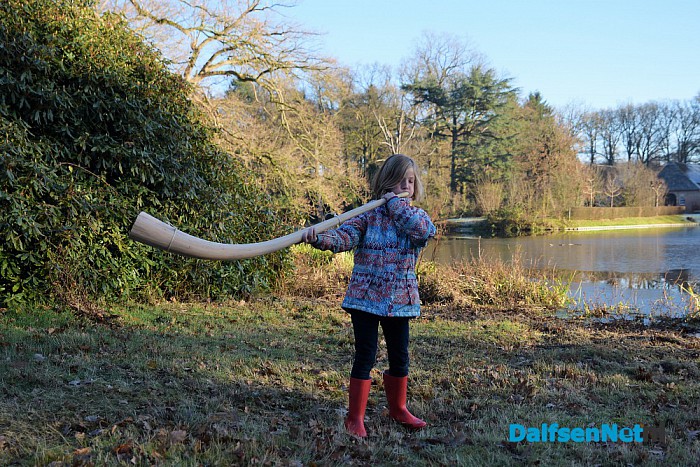 Midwinterhoorn blazers bij huize den Berg - Foto: Johan Bokma
