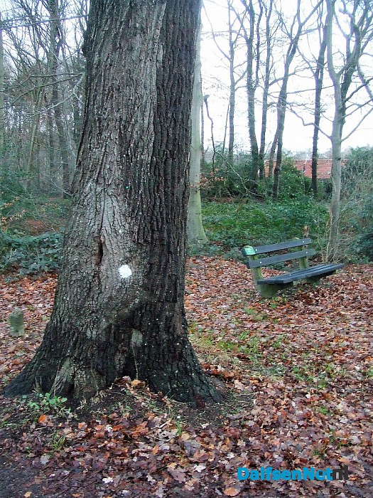 Met stip, maar net buiten de top tien. - Foto: Wim