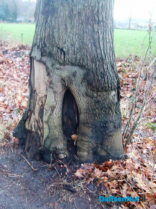 Met stip, maar net buiten de top tien. - Foto: Wim