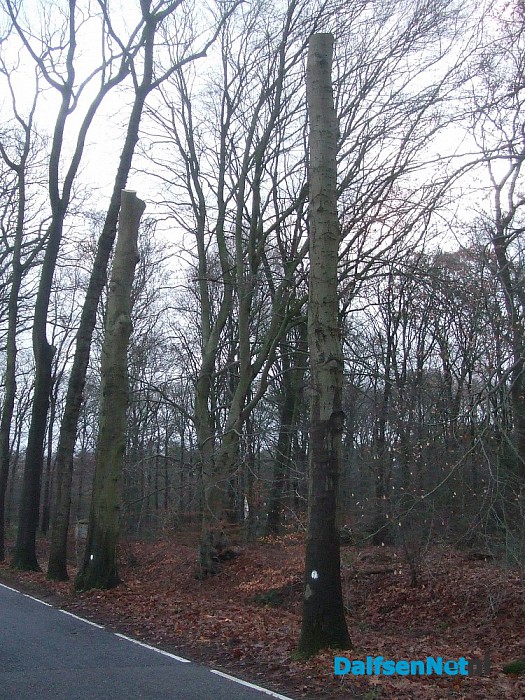 Met stip, maar net buiten de top tien. - Foto: Wim