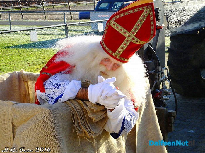 De varkens van Johnny Hogenkamp verrast door Sinterklaas. - Foto: H.G. Foto
