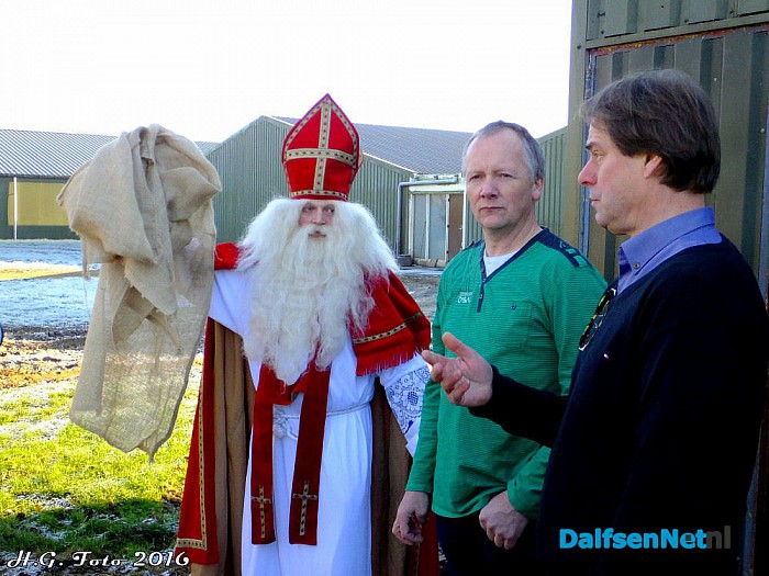 De varkens van Johnny Hogenkamp verrast door Sinterklaas. - Foto: H.G. Foto