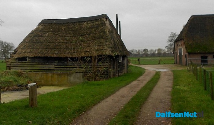 Jaarlijkse Sterrebosmidwinterwandeling