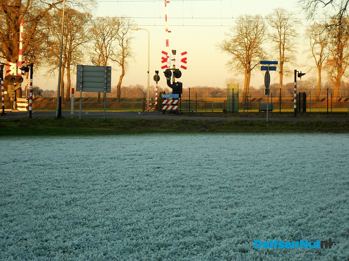 Het vroor dat het kraakt in de schaduw