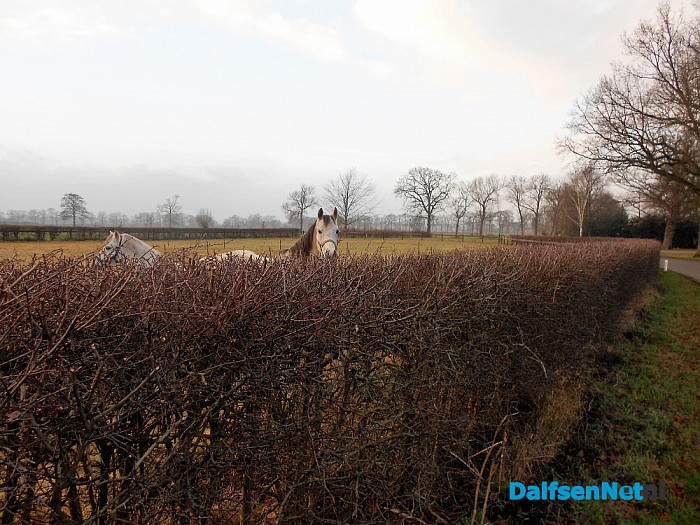 Niet onder ’t droad deur vrett’n