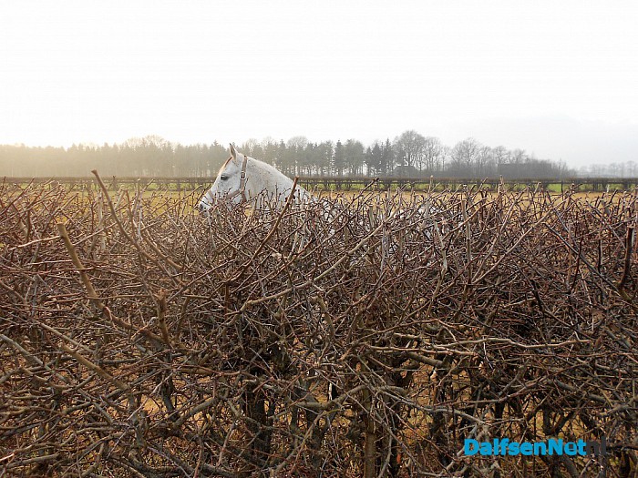 Niet onder ’t droad deur vrett’n
