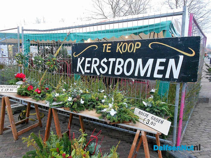 Kerstbomen