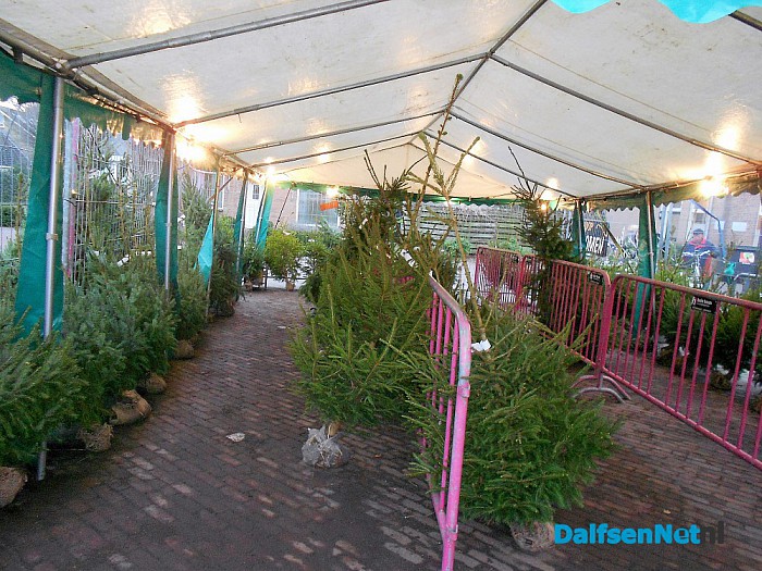 Kerstbomen