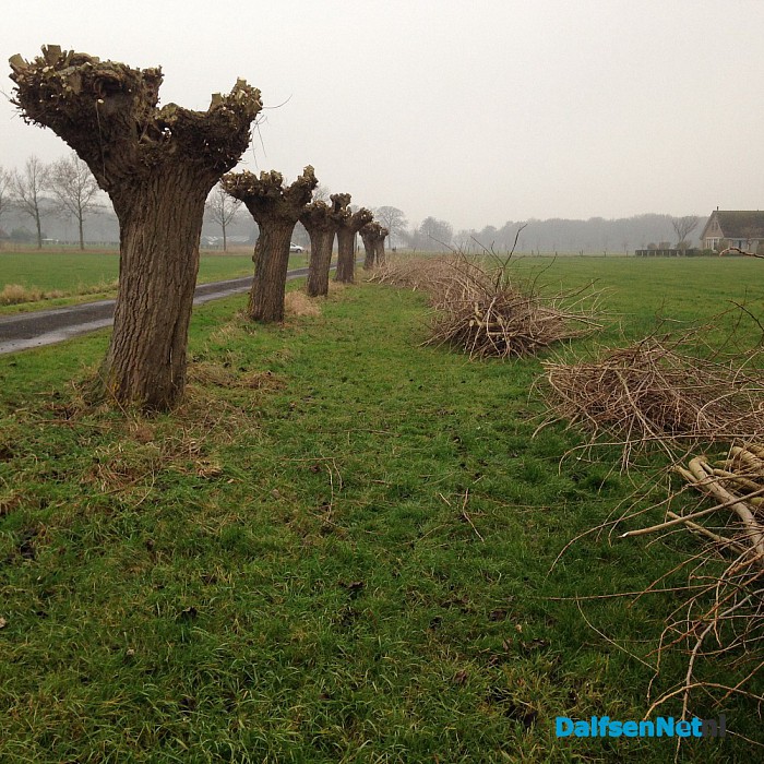 Natuurwerkdag en knotten - Foto: Ingezonden foto