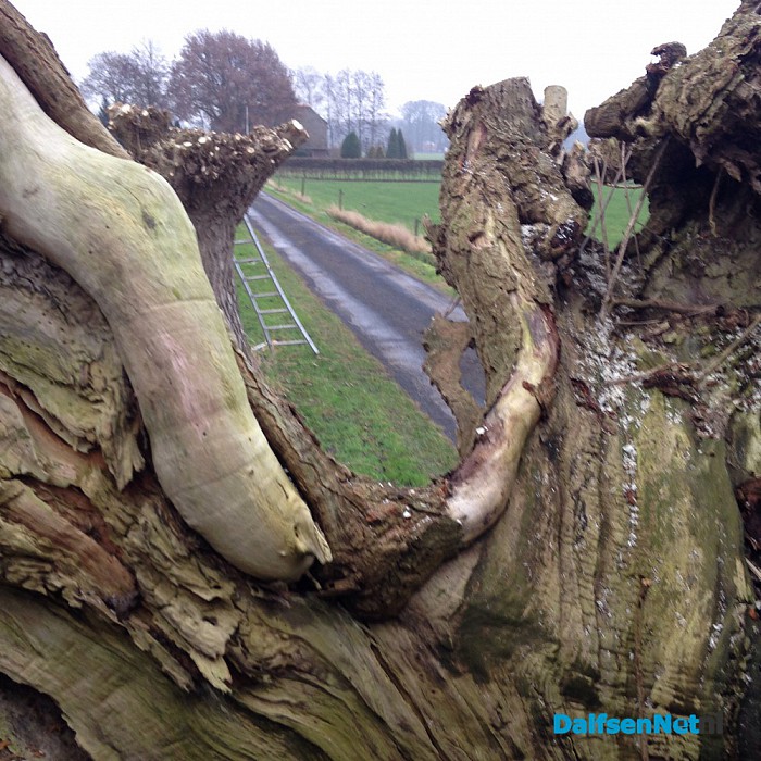 Natuurwerkdag en knotten - Foto: Ingezonden foto