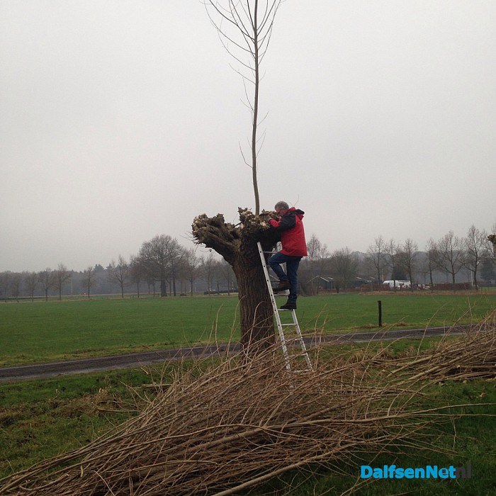 Natuurwerkdag en knotten - Foto: Ingezonden foto
