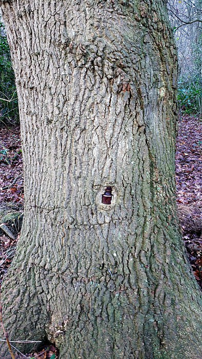 Een bijzondere waarneming - Foto: Eigen geleverde foto