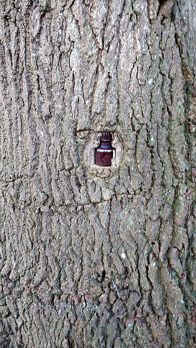Een bijzondere waarneming - Foto: Eigen geleverde foto