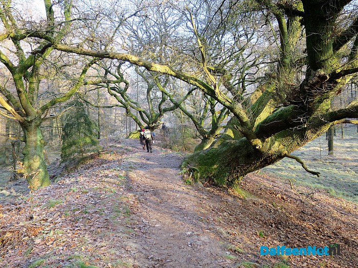 Dag 2 Greenshoes: ook fantastisch: weer 1100 - Foto: Wim