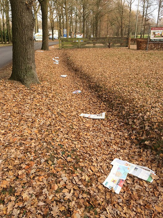 Dalfser krant - Foto: Eigen geleverde foto