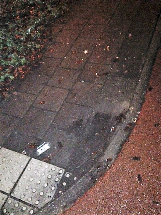 Kapot gegooide flessen - Foto: Eigen geleverde foto