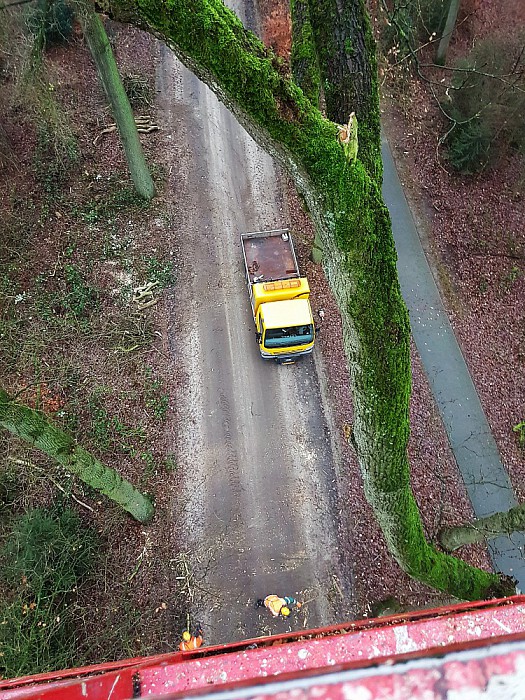 Verzoek aan inwoners bij het snoeien - Foto: Gemeente Dalfsen