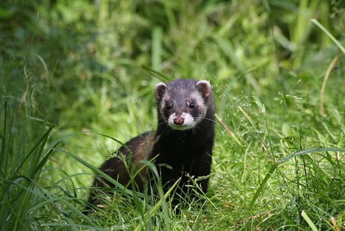Hobbyboer is moedeloos - Foto: Eigen geleverde foto