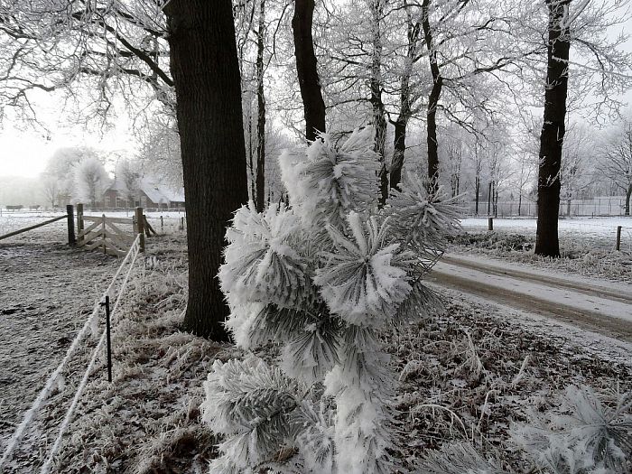 Inzending natuurfoto - Foto: Eigen geleverde foto