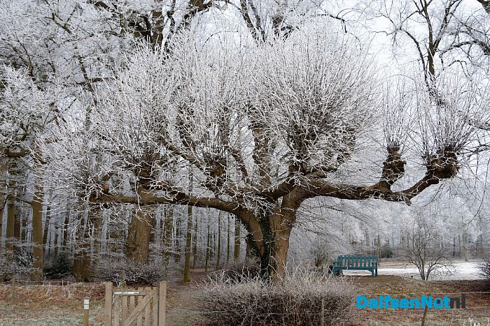 Winter plaatjes rondom Dalfsen - Foto: Johan Bokma