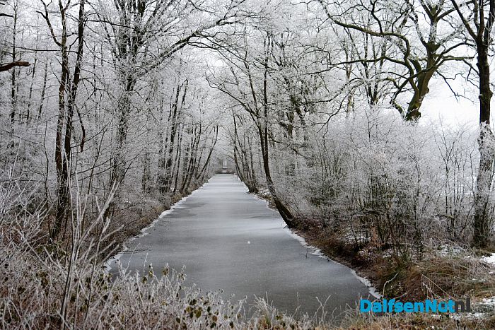 Winter plaatjes rondom Dalfsen - Foto: Johan Bokma
