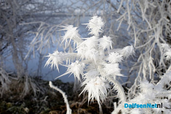 Winter plaatjes rondom Dalfsen - Foto: Johan Bokma