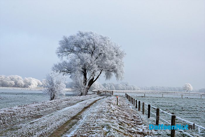Winter plaatjes rondom Dalfsen - Foto: Johan Bokma