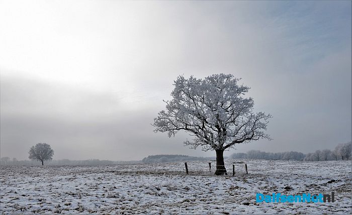 Winter plaatjes rondom Dalfsen - Foto: Johan Bokma