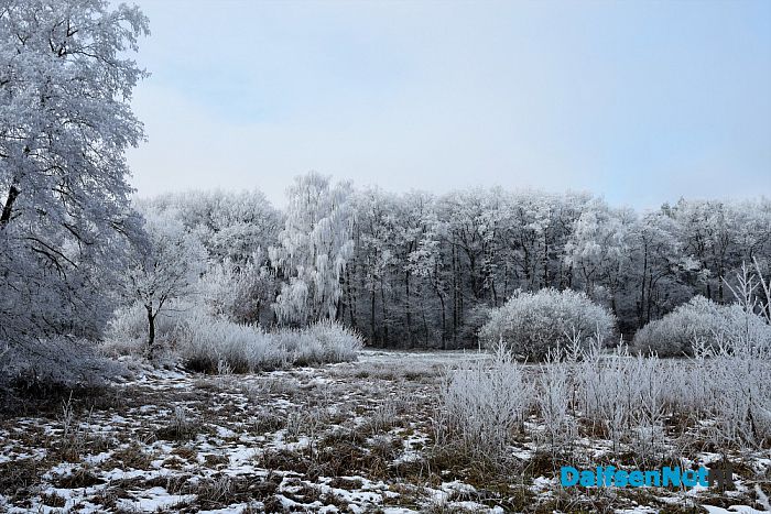 Winter plaatjes rondom Dalfsen - Foto: Johan Bokma