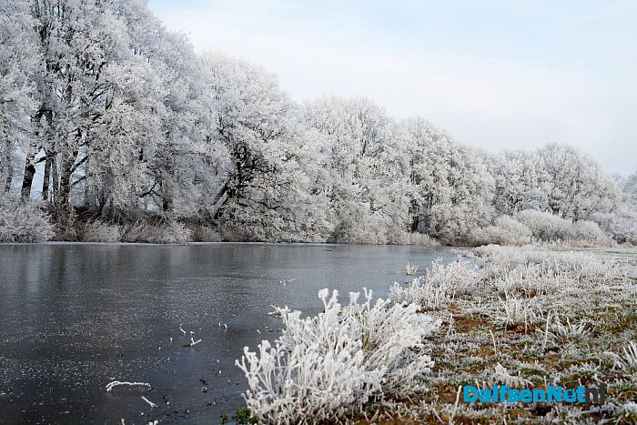 Winter plaatjes rondom Dalfsen - Foto: Johan Bokma
