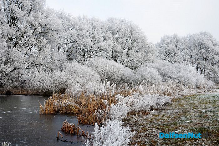 Winter plaatjes rondom Dalfsen - Foto: Johan Bokma
