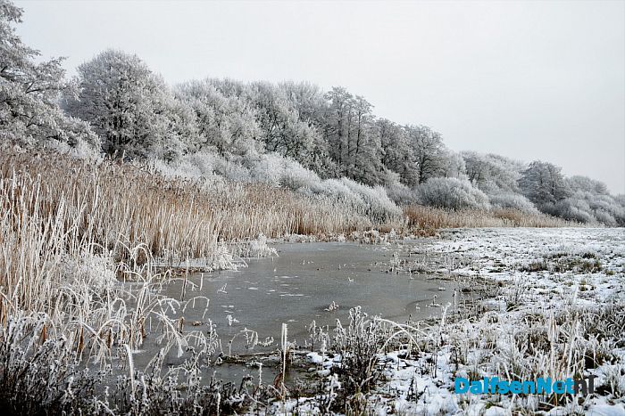 Winter plaatjes rondom Dalfsen - Foto: Johan Bokma