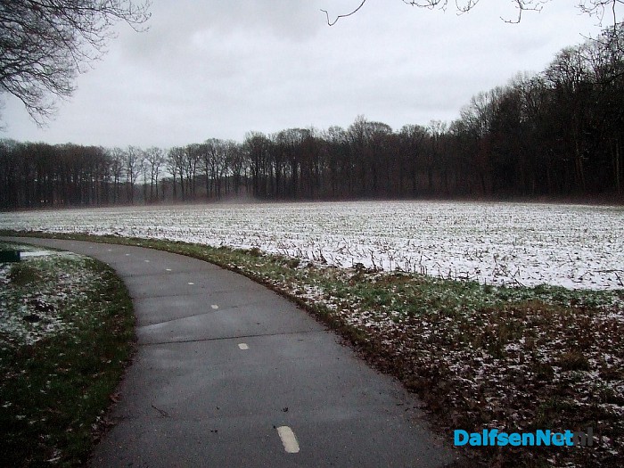 Dalfsen ontwaakt weer in het groen na een ijzige en witte dag. - Foto: Wim