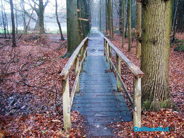 Dalfsen ontwaakt weer in het groen na een ijzige en witte dag. - Foto: Wim