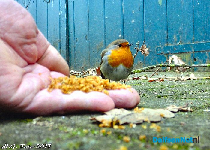 Mijn kleine vriendje - Foto: H.G. Foto