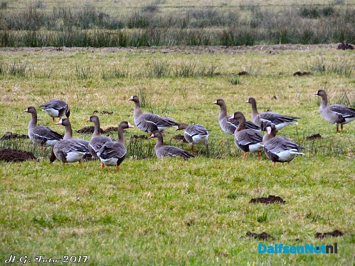 Even een rondje “De Wieden”. - Foto: H.G. Foto