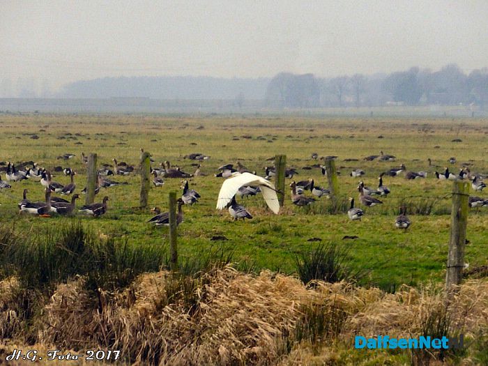 Even een rondje “De Wieden”. - Foto: H.G. Foto