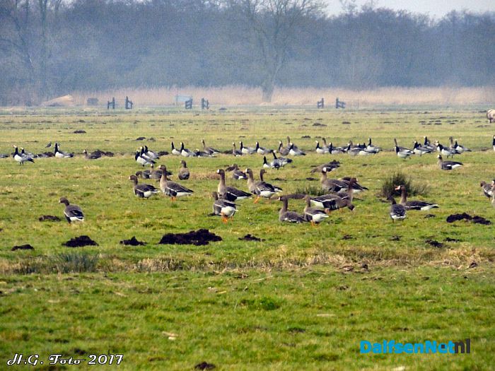 Even een rondje “De Wieden”. - Foto: H.G. Foto