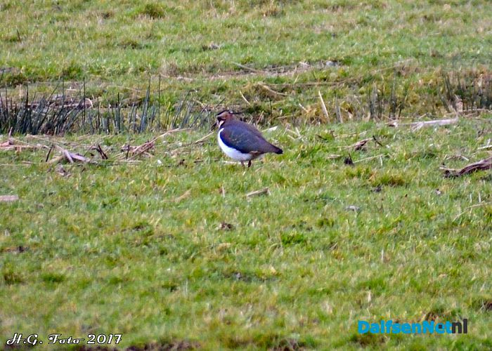 Even een rondje “De Wieden”. - Foto: H.G. Foto