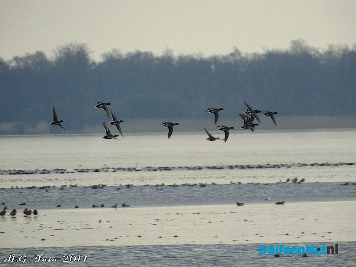 Even een rondje “De Wieden”. - Foto: H.G. Foto