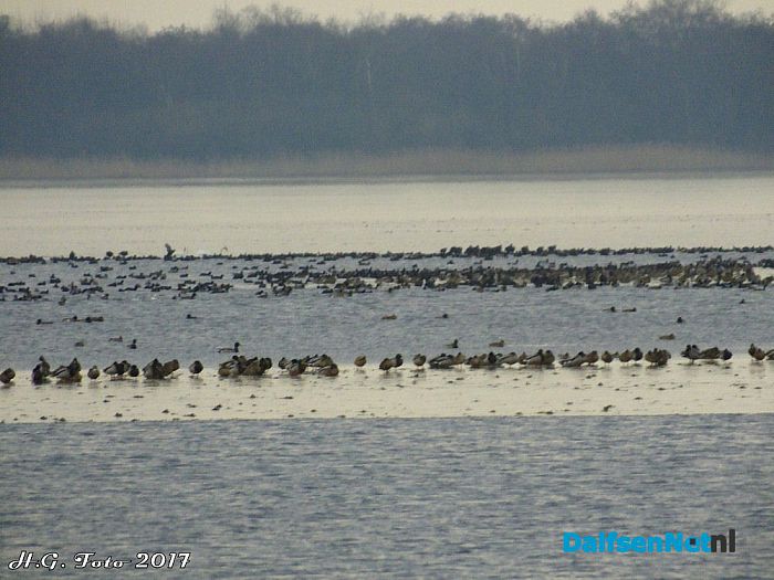 Even een rondje “De Wieden”. - Foto: H.G. Foto