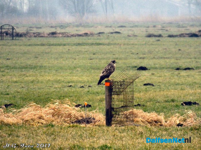 Even een rondje “De Wieden”. - Foto: H.G. Foto