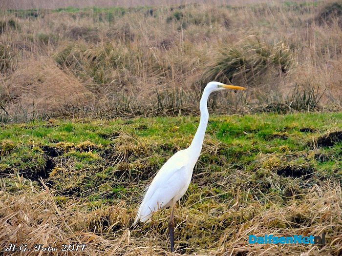 Even een rondje “De Wieden”. - Foto: H.G. Foto