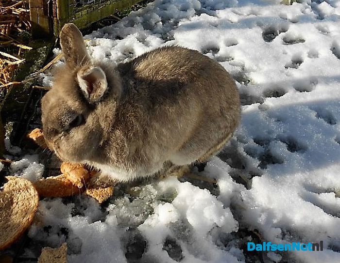 Op straat een zooi: maar de bossen super mooi